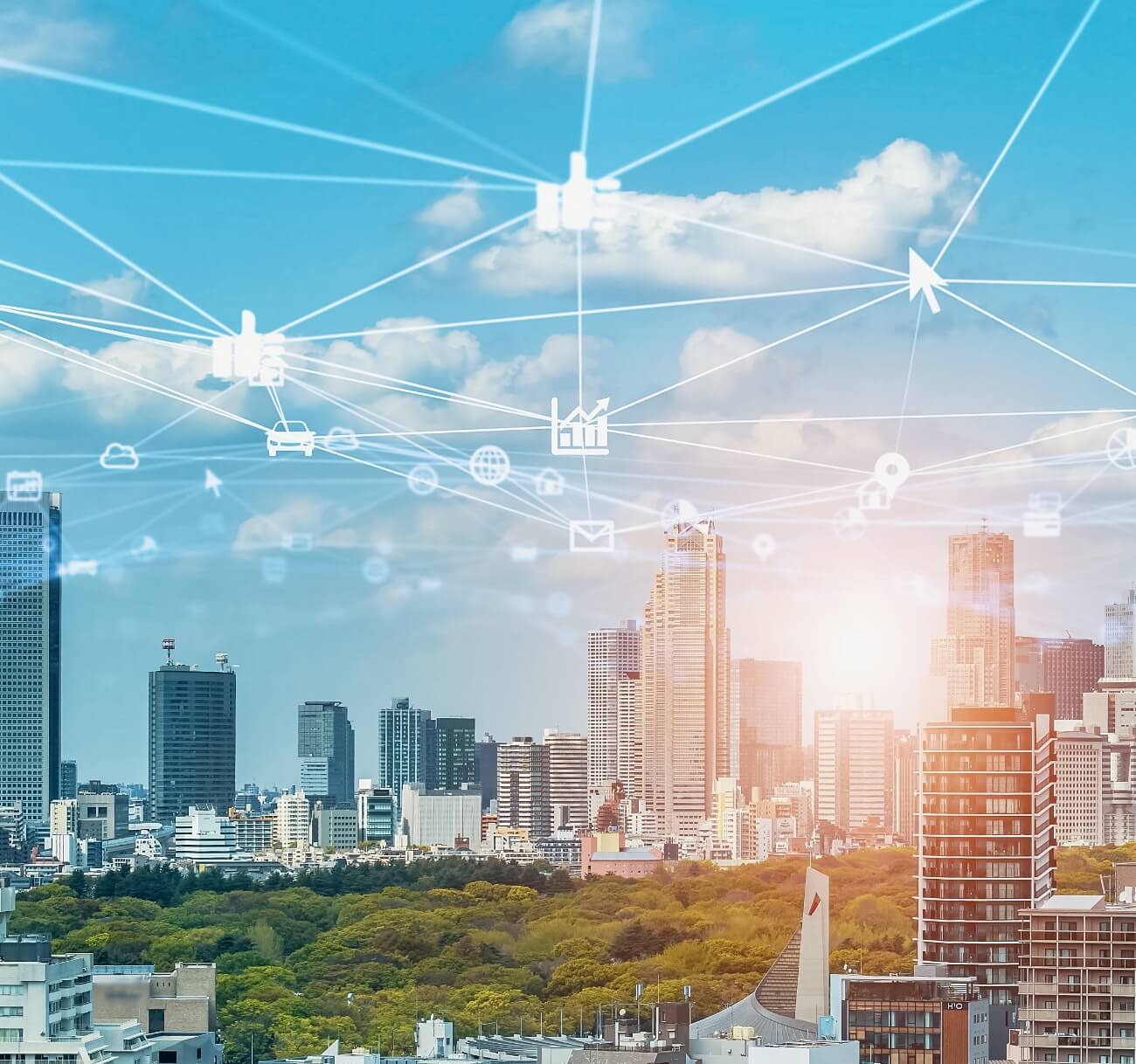 フリーダムの将来性