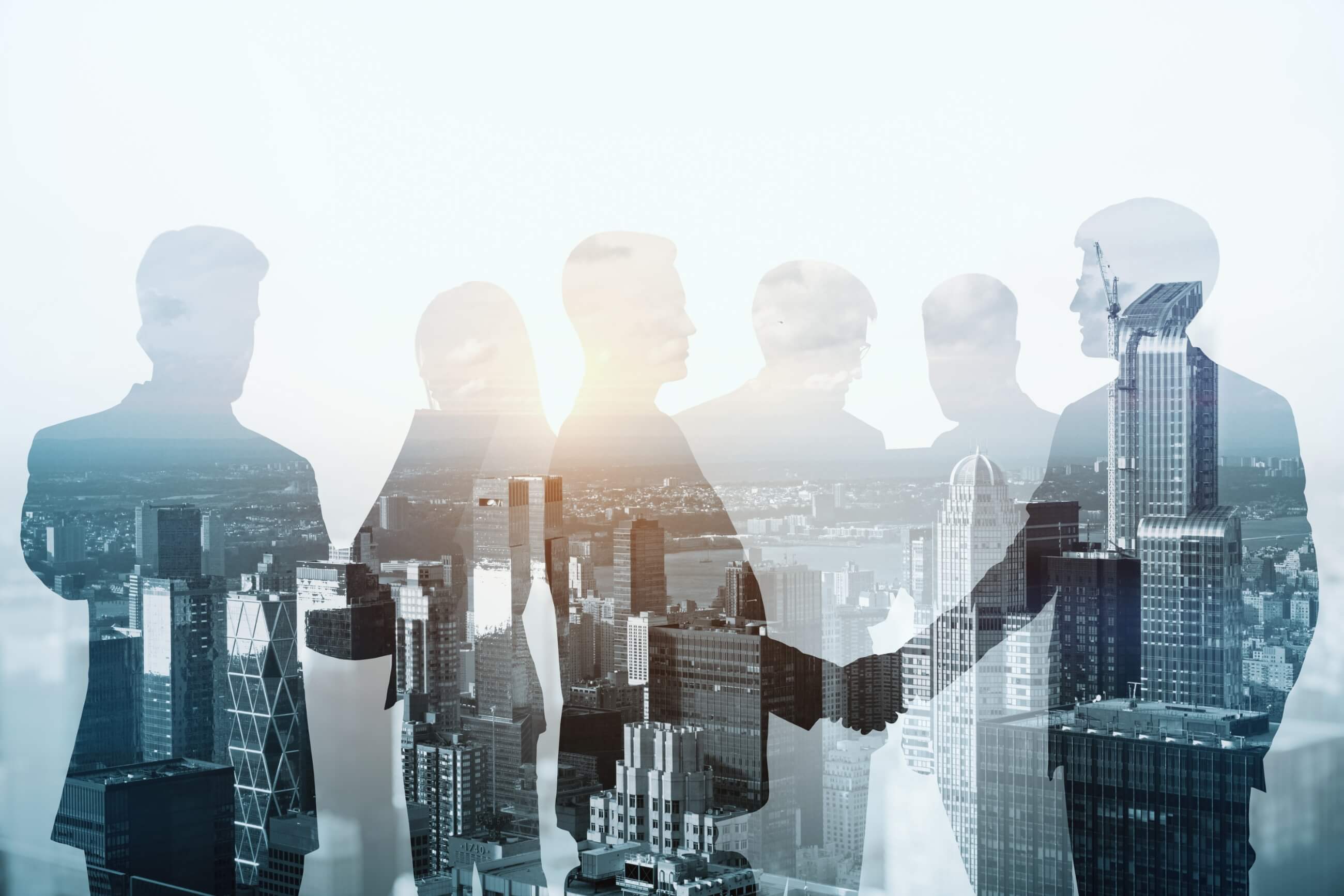 フリーダムの強み